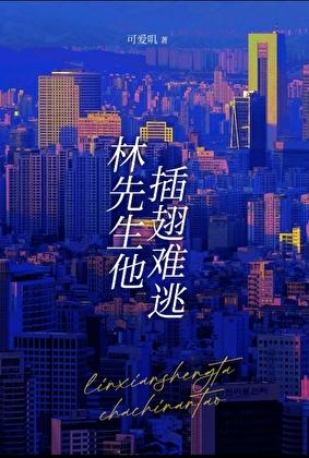 林先生他插翅难逃